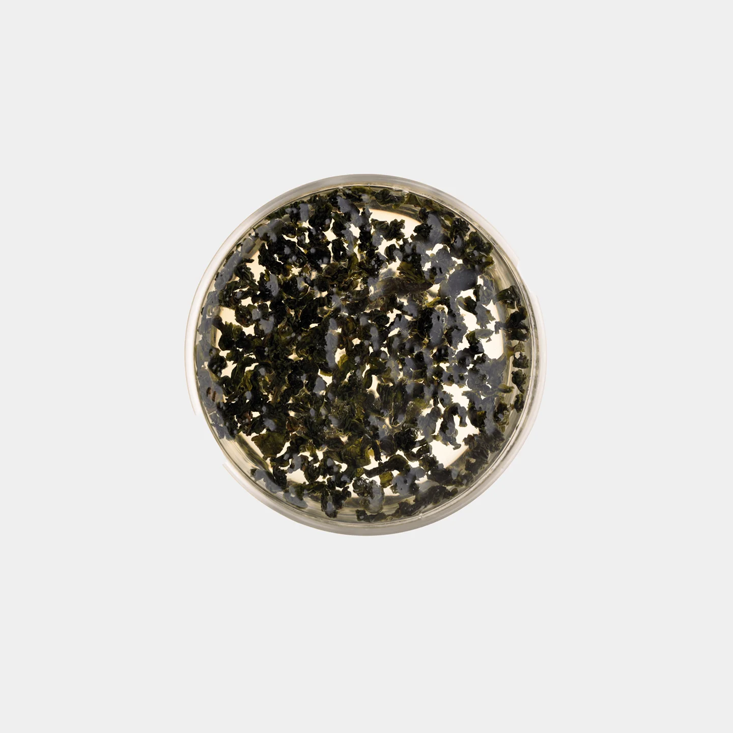 LOT040. 겨울 의란 금훤 우림사진