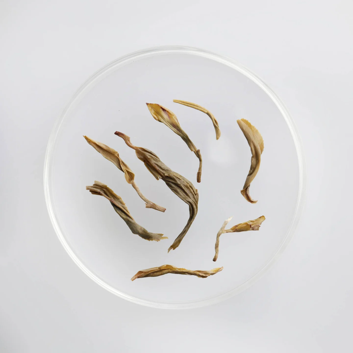 LOT057. 삼협 청심감자 노녹차 엽저