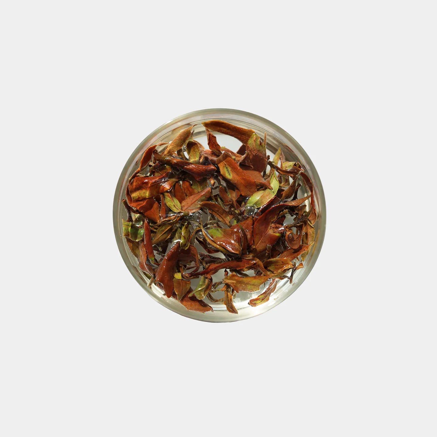 LOT075. 소설아백 24早春 우림