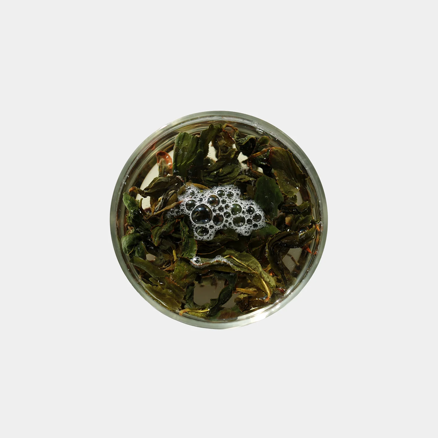 LOT076. 자연농법 취옥 포종 24春 우림