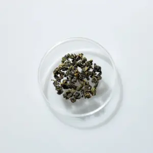 LOT079. 홍향 24春 건차