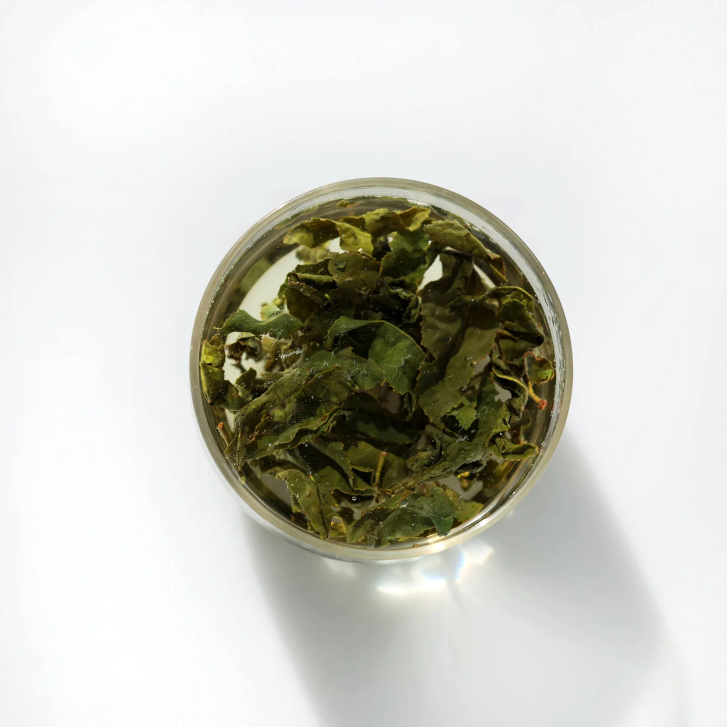 LOT079. 홍향 24春 우림