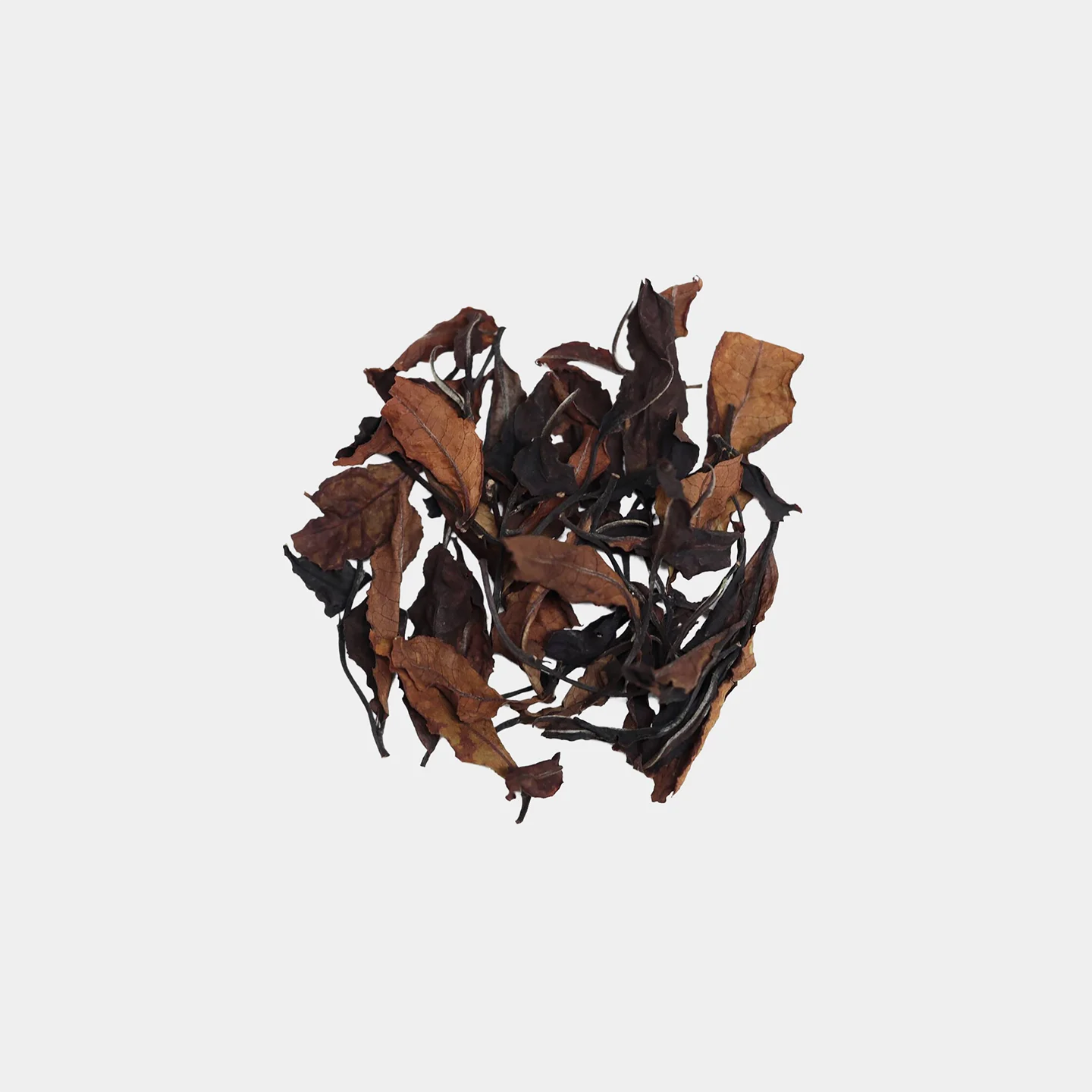 LOT088. 쇄청 홍옥 백차 건차