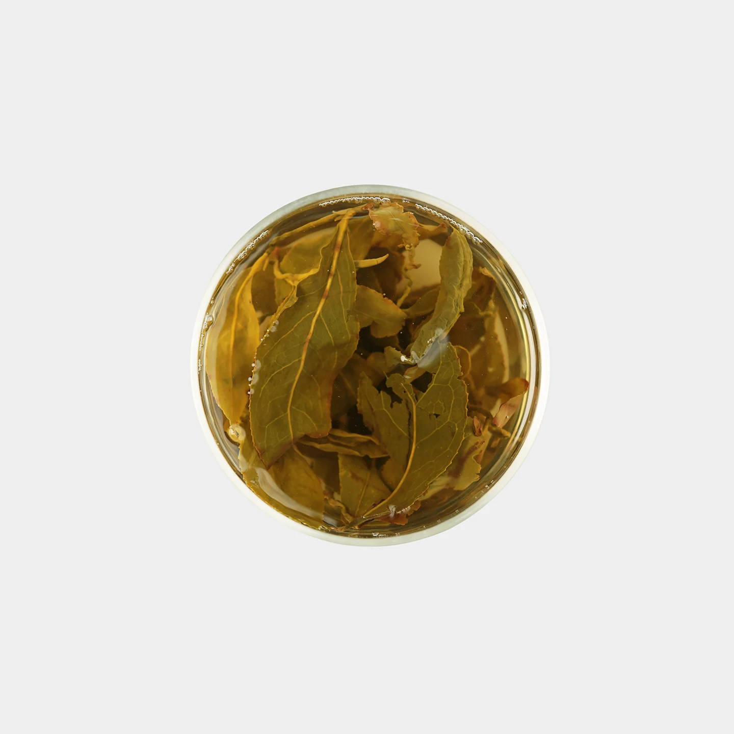 LOT091. 삼림계 밀향 23冬 우림