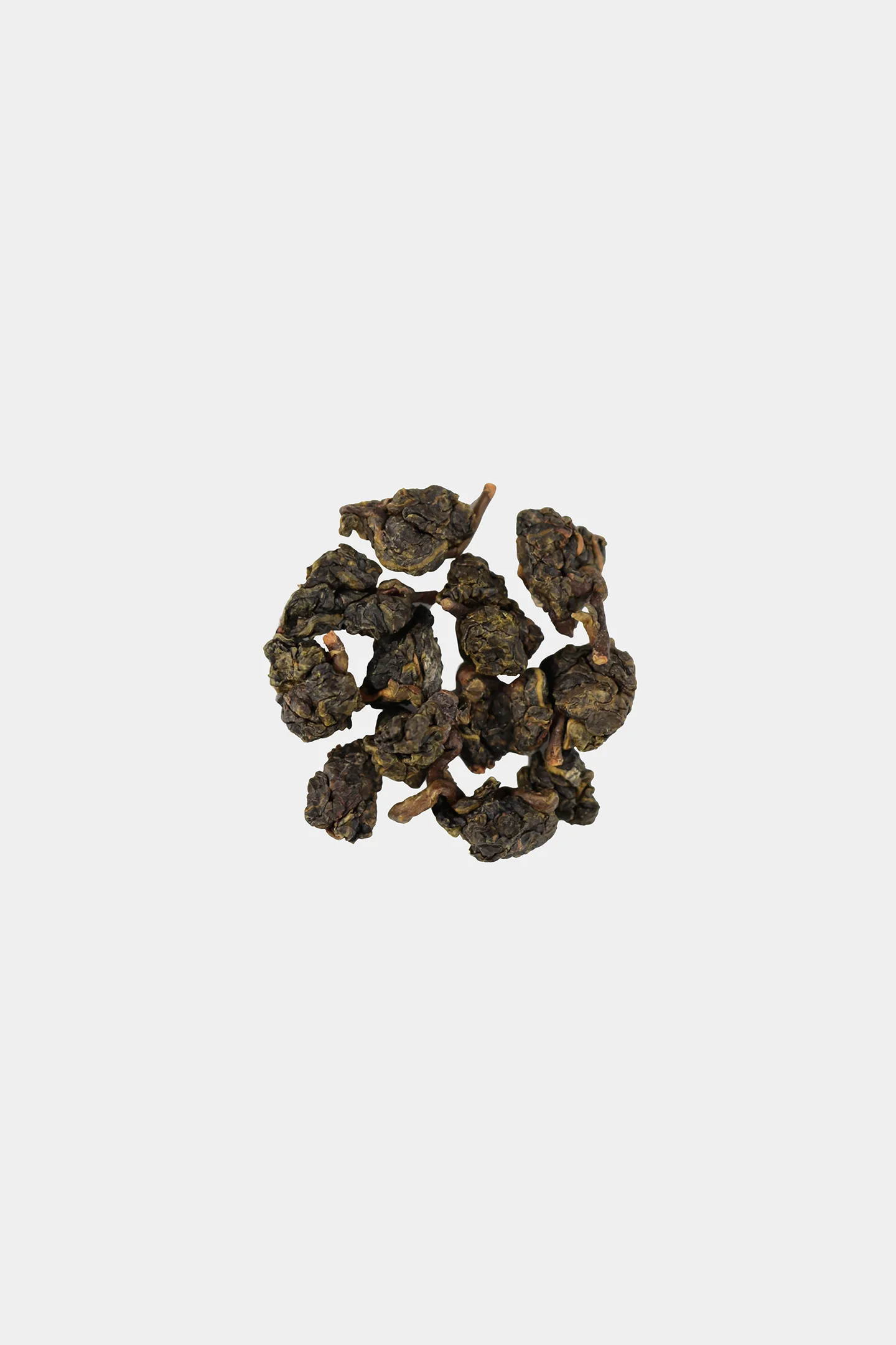LOT100. 고산차 23冬 건차