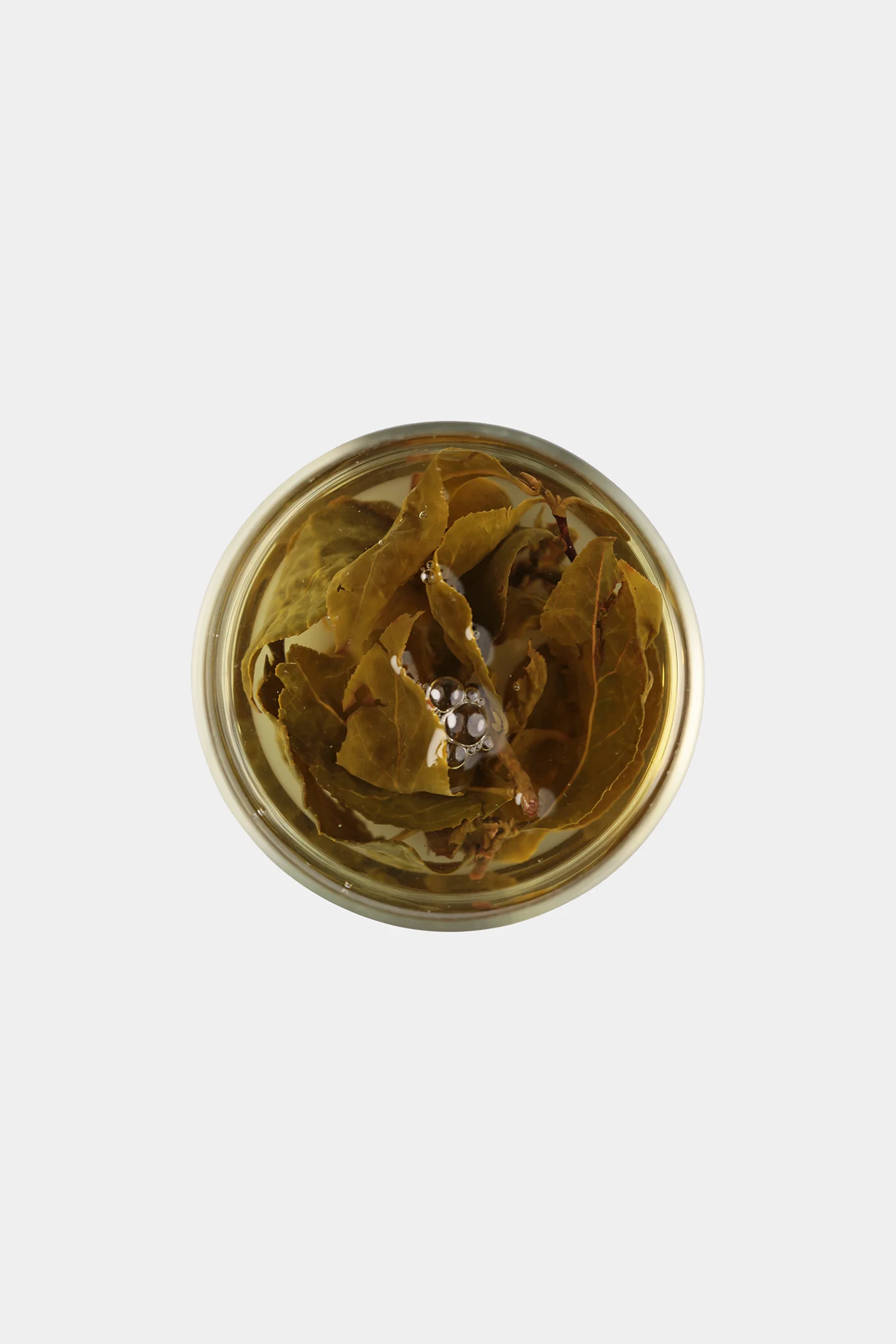 LOT100. 고산차 23冬 우림