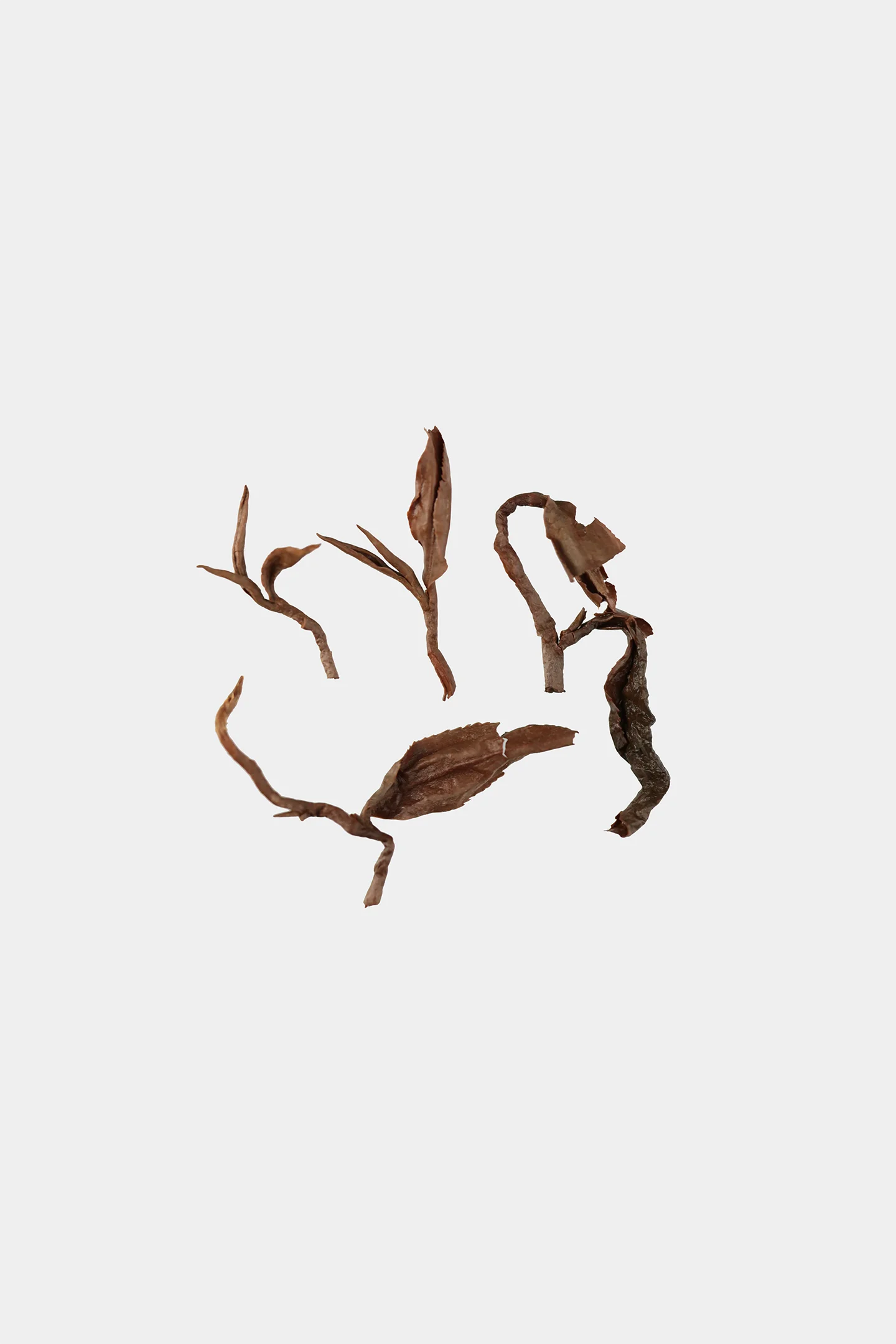 LOT110. 화롄 밀향 홍차 24夏 엽저