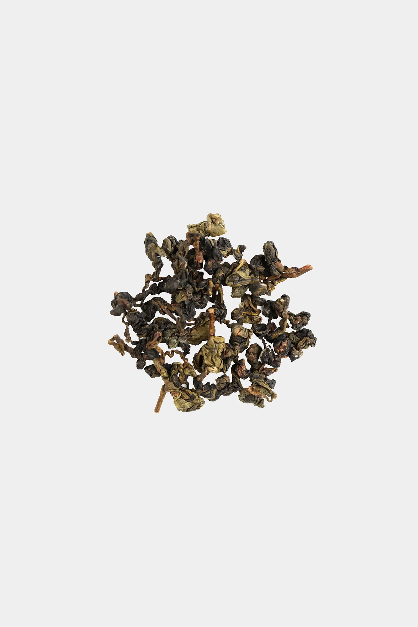 LOT115. 전수공 노수 금훤 24冬 건차
