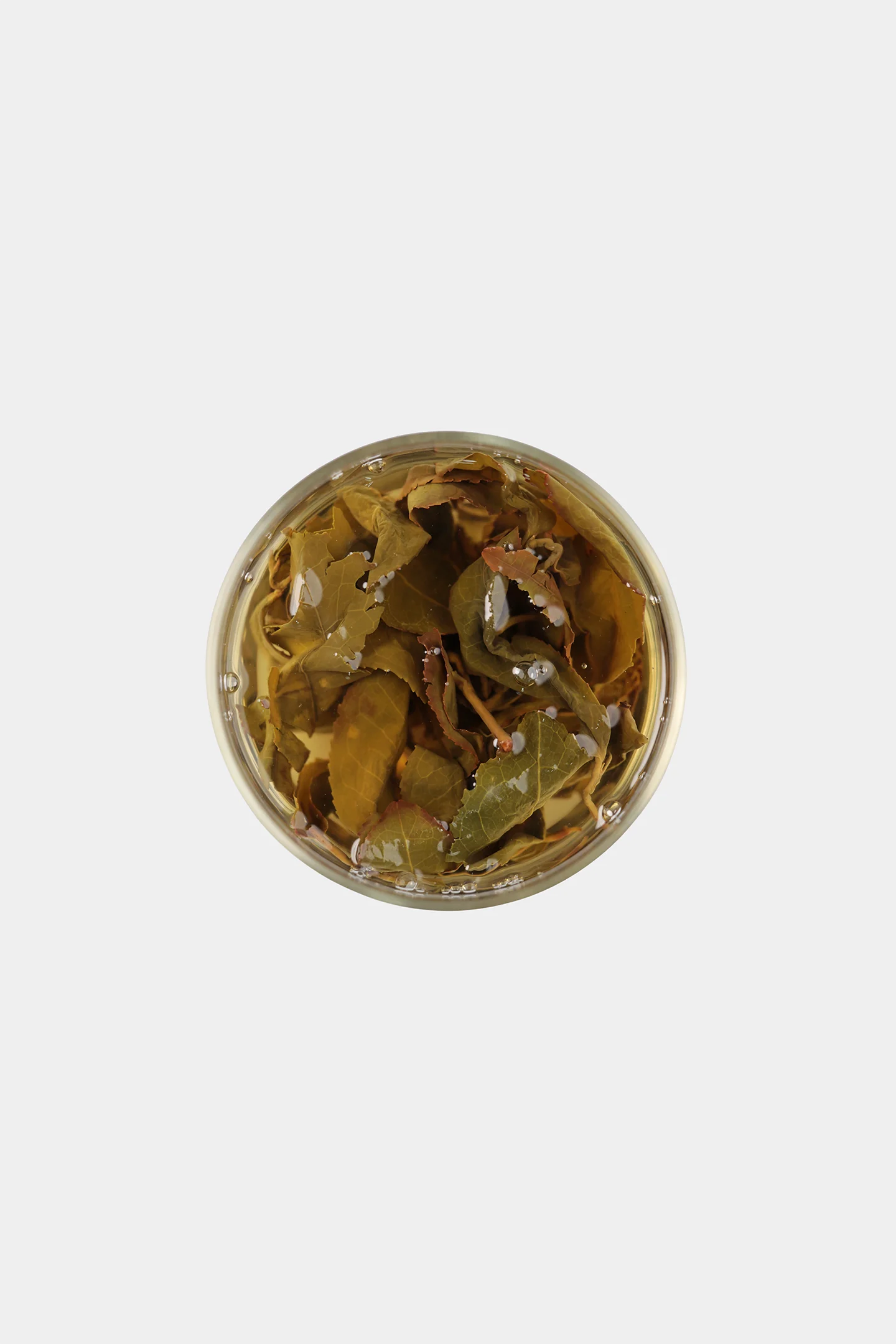 LOT115. 전수공 노수 금훤 24冬 우림