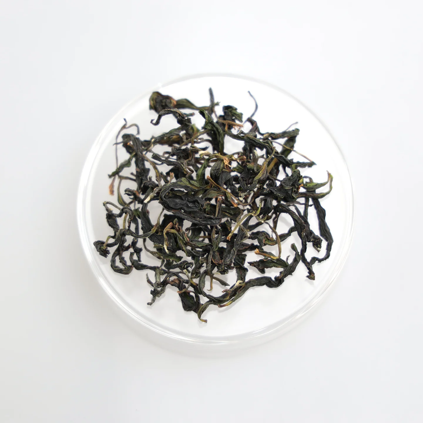 LOT120. 만종포종25春 건차