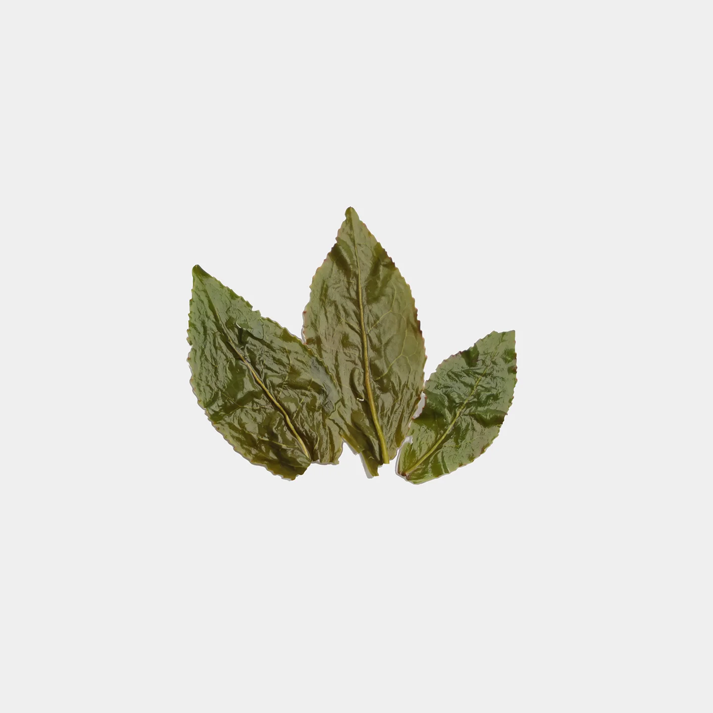 LOT121. 일광위조 문산포종 25春 엽저