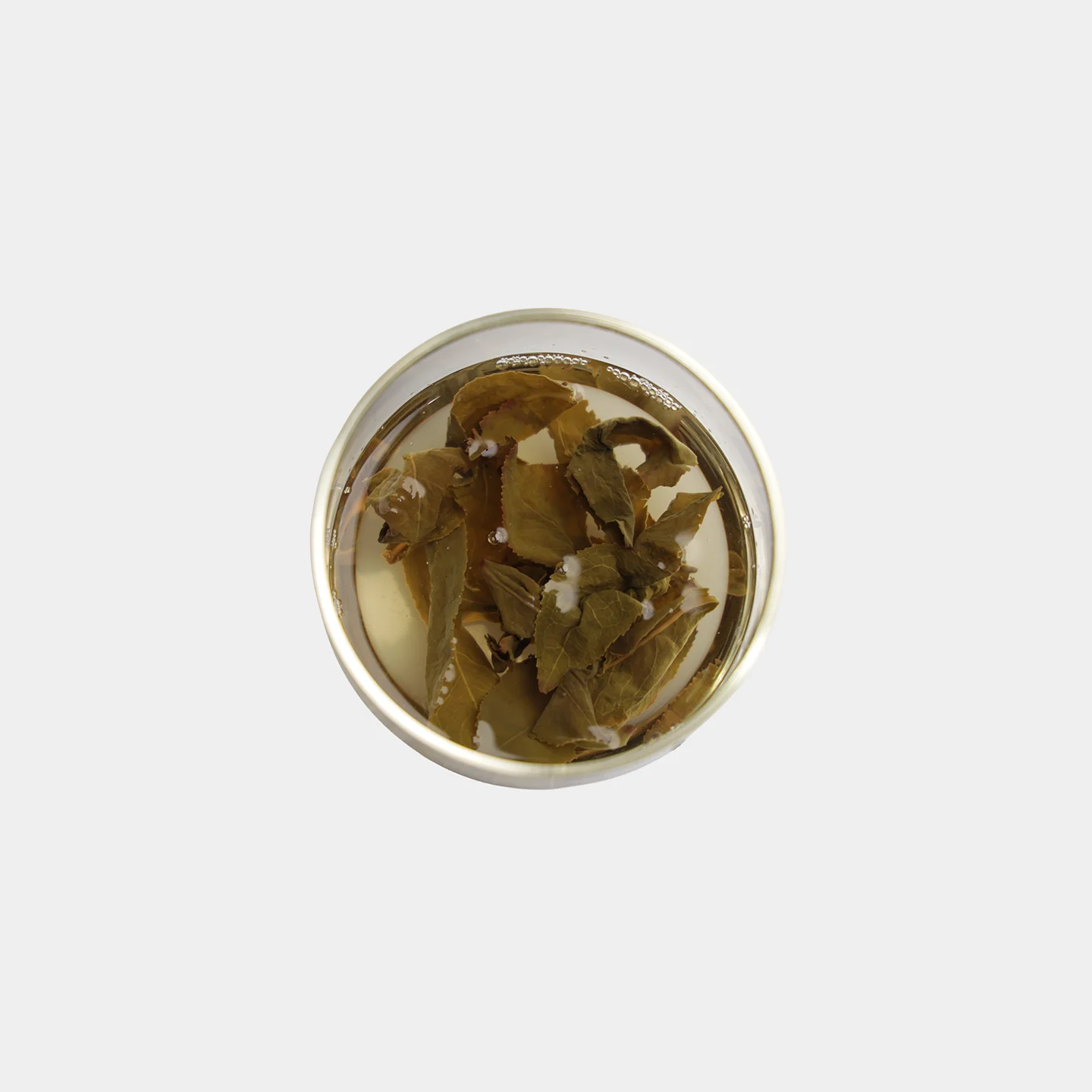 LOT122. 사계춘 금란25春 우림