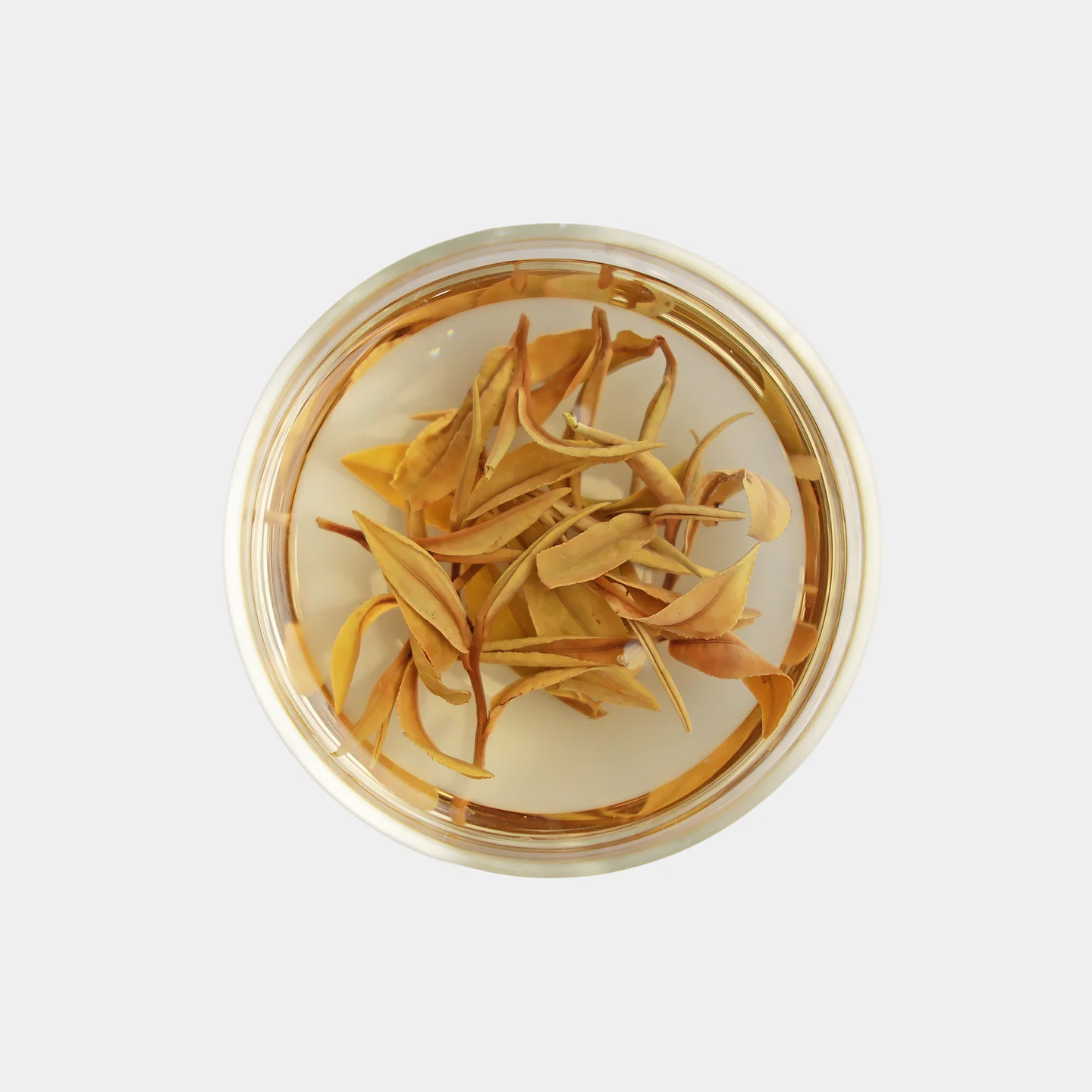 LOT123. 조춘 기운백 25春 우림