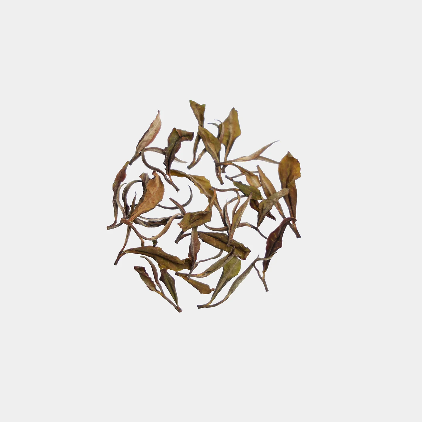 LOT124. 일월담 홍운 백차 24冬 건차
