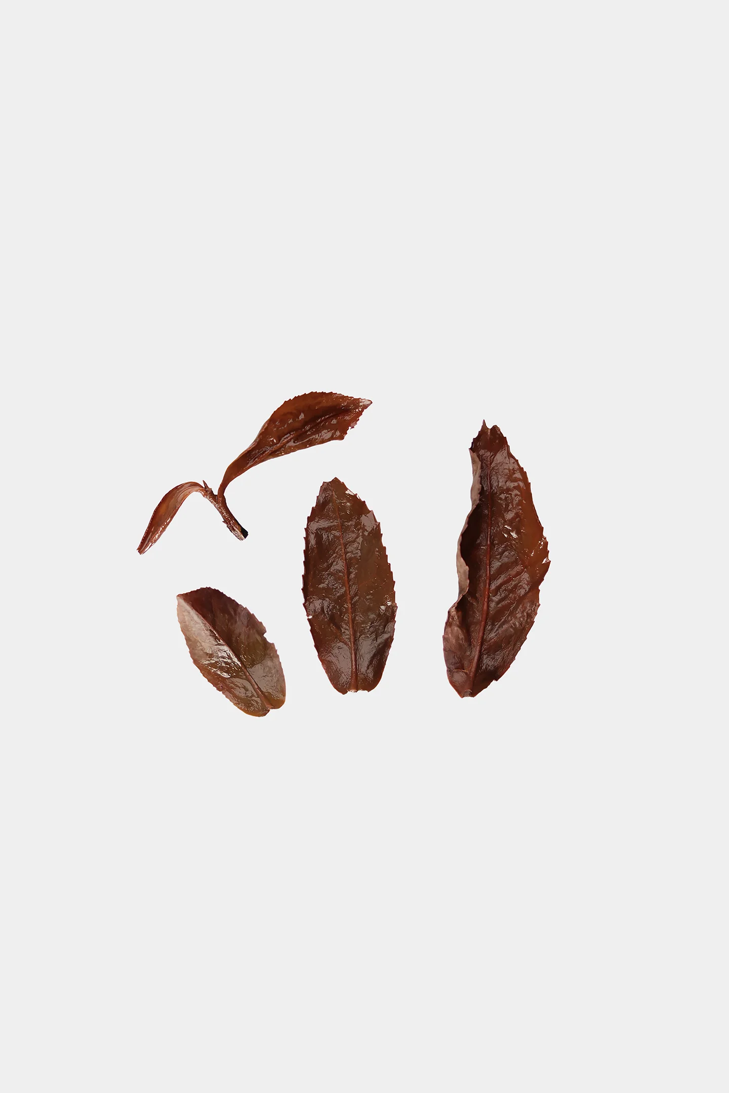LOT127. 화밀향 청심오룡 홍차 25春 엽저