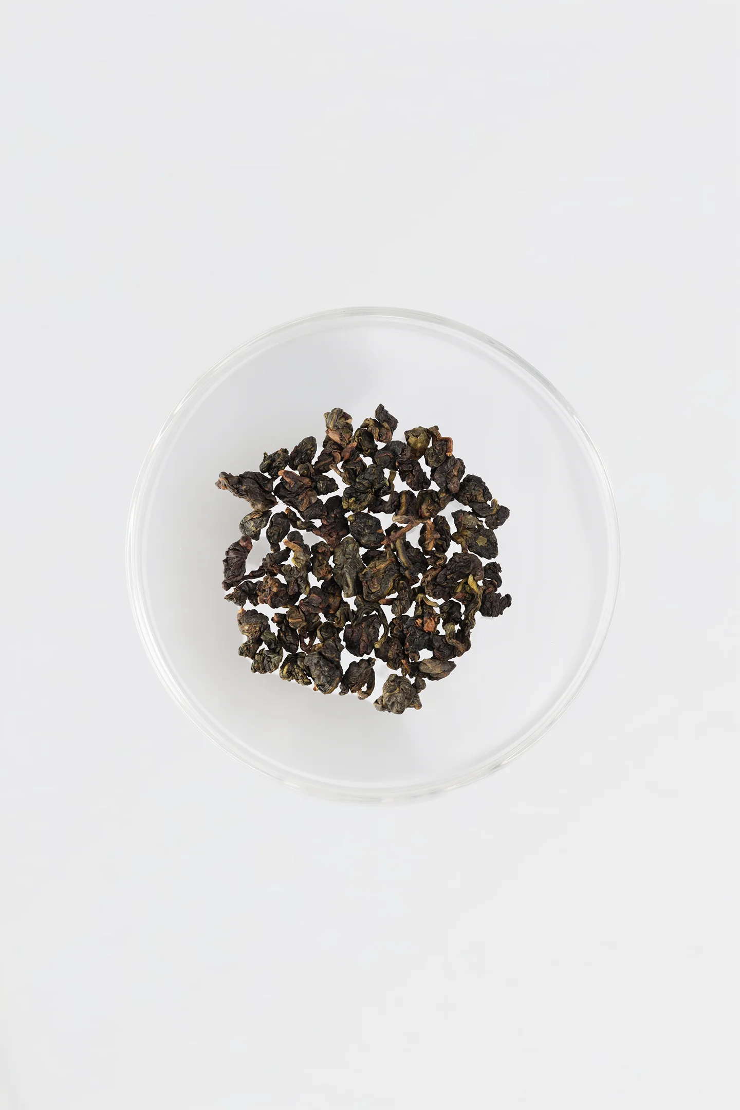 LOT157. 탄배 사계춘 25冬 건차
