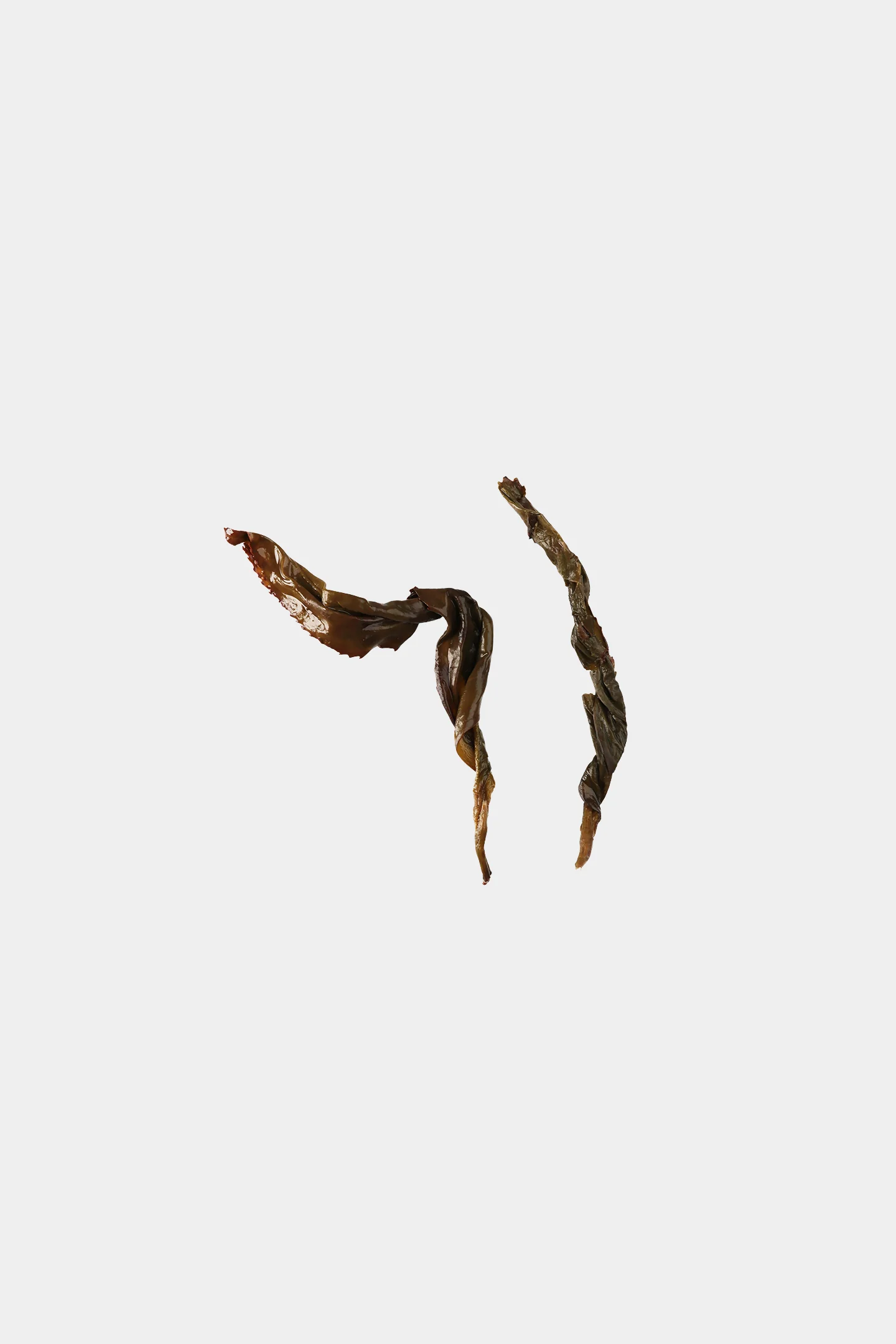 LOT160. 석문 야방 수선 엽저