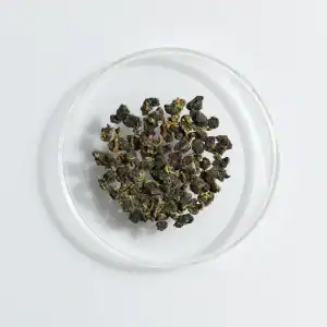 LOT184. 조춘 사계춘