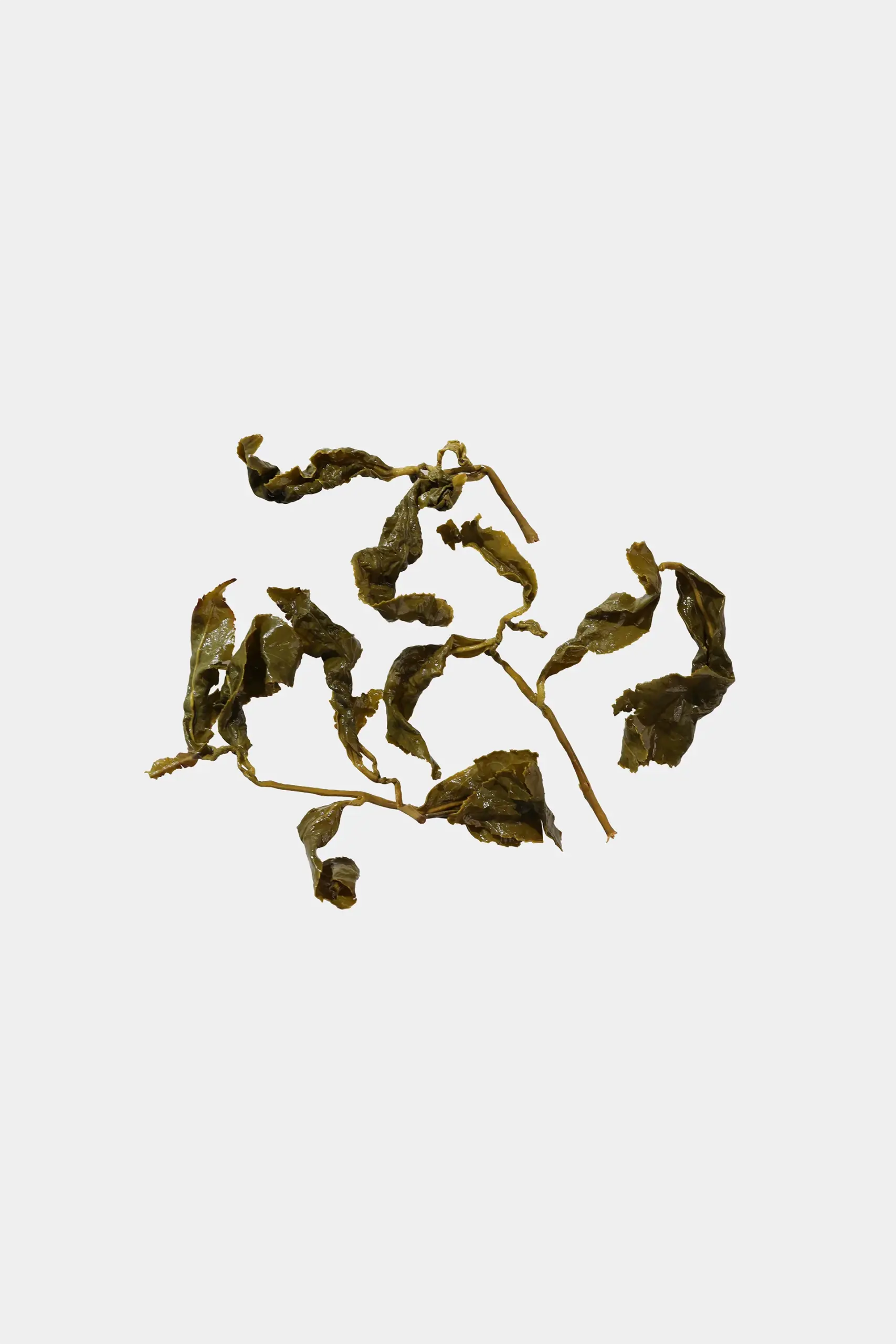 LOT205. 기래산 고산차 엽저사진2