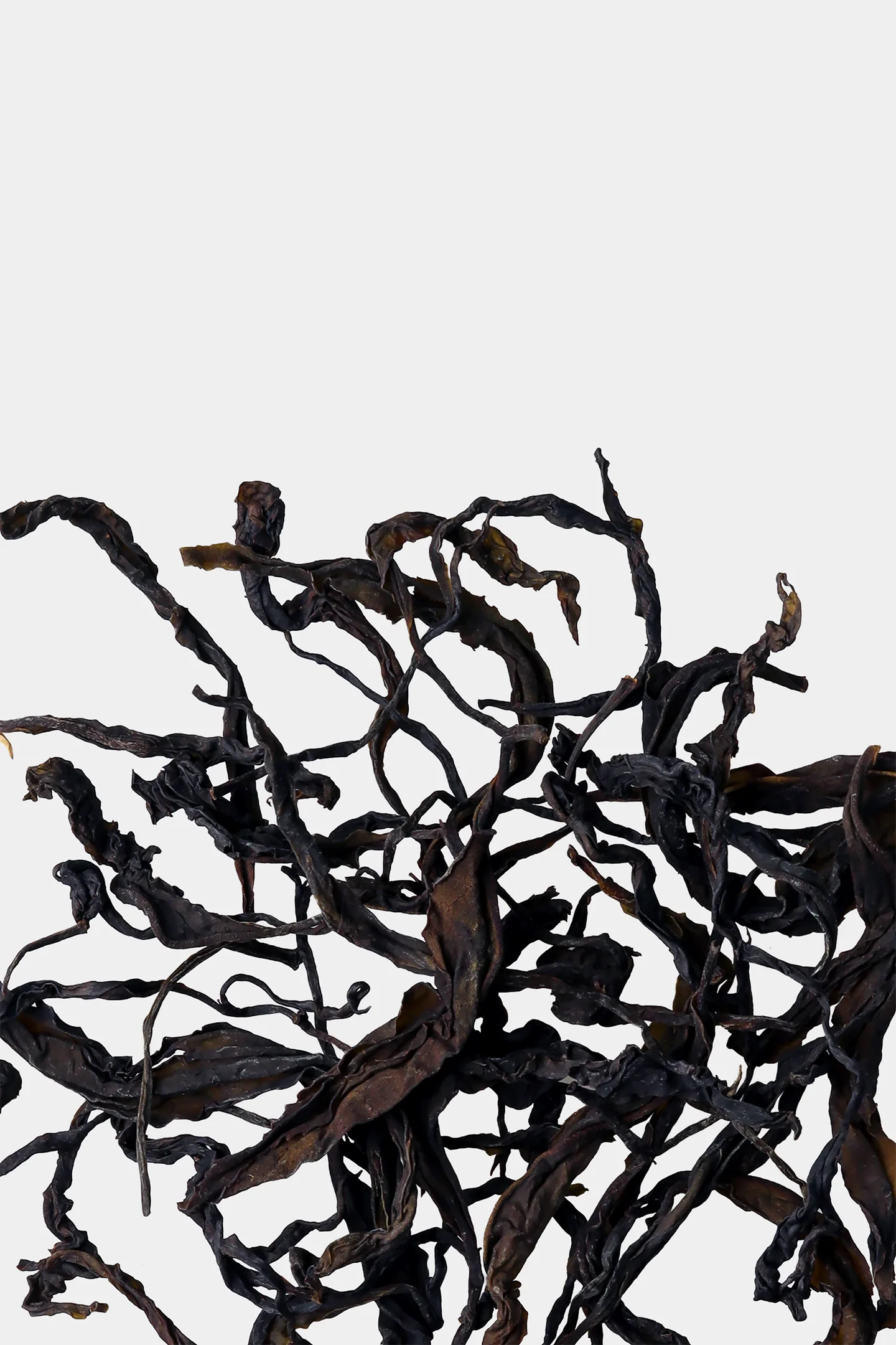 LOT211. 육귀 산차 등차 건차확대